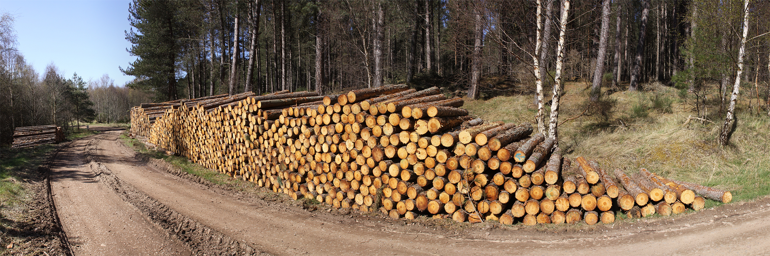 Timber stacking